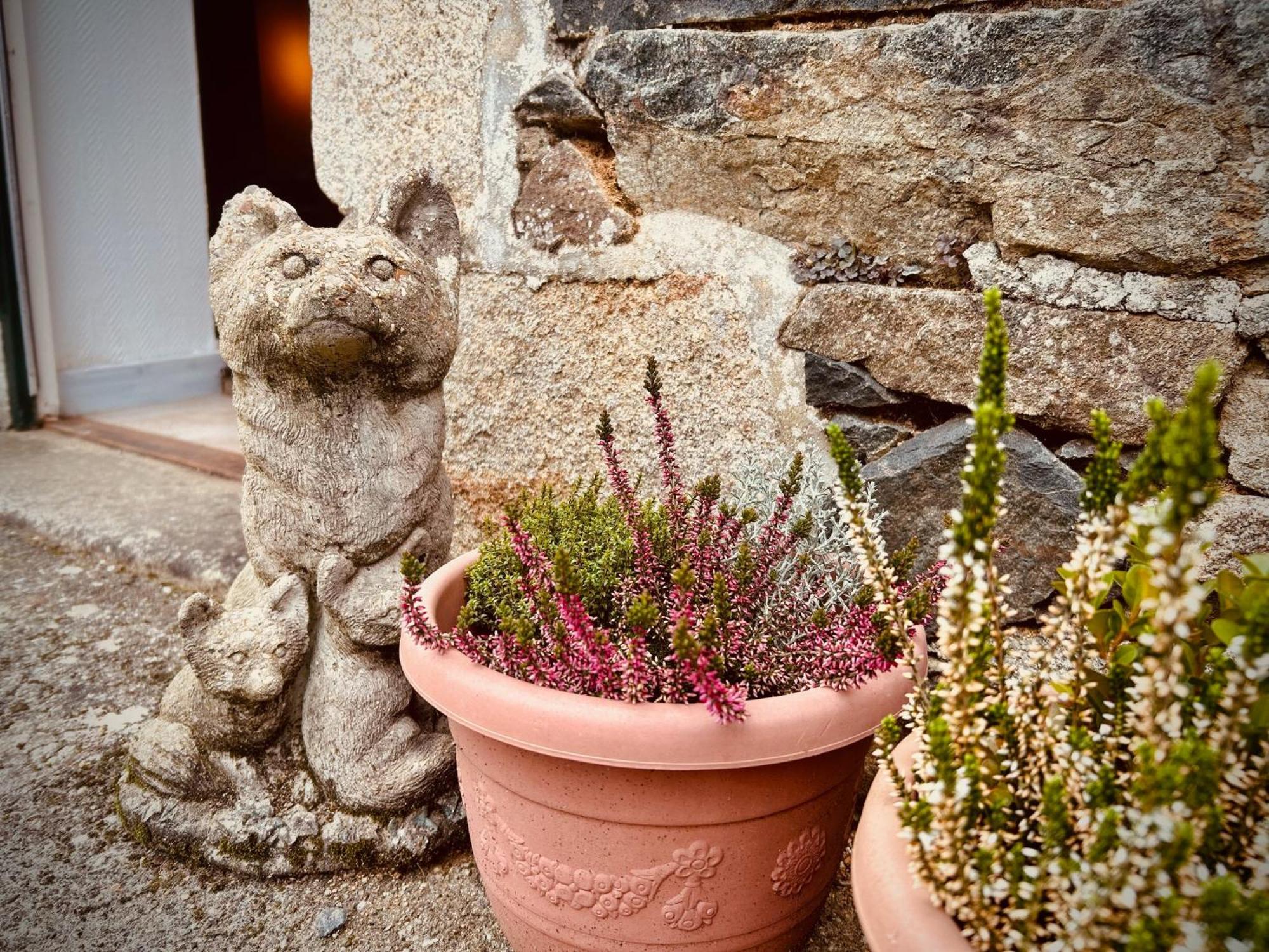 Domaine Armorica Villa La Chapelle-Neuve  ภายนอก รูปภาพ